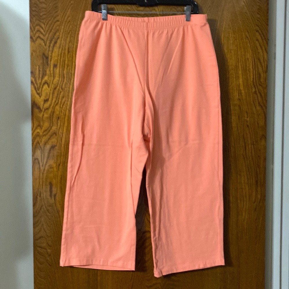Women with control / pants / size 1X